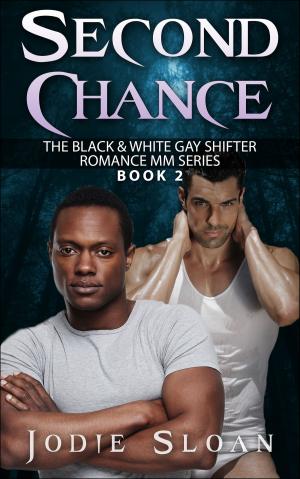 Cover of the book Second Chance by Kristina Luckey