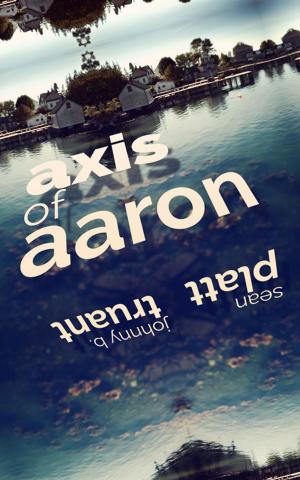Cover of the book Axis of Aaron by David W. Wright, Sean M. Platt, Johnny Truant