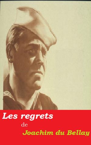 Cover of the book Les regrets by Jean Aicard