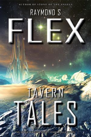 Cover of the book Tavern Tales by Raymond S Flex