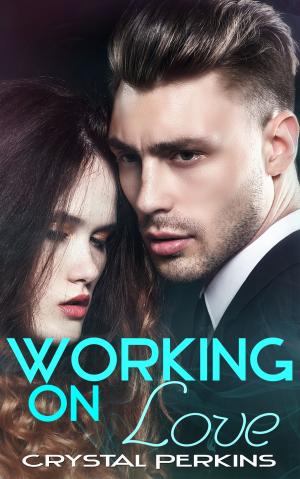 Cover of the book Working On Love by Geoff Lichy