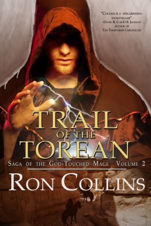 Cover of the book Trail of the Torean by G.N.Paradis