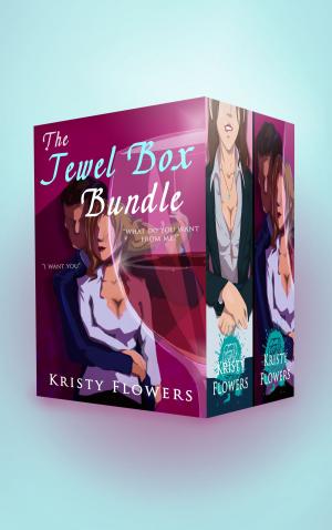 bigCover of the book The Jewel Box Bundle (Two Extra Long Office Erotica Stories) by 