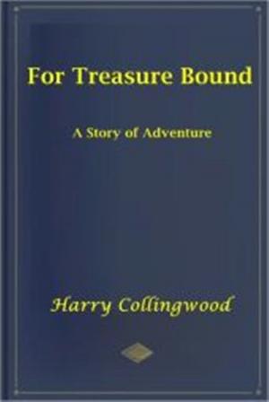 Cover of the book For Treasure Bound by Margaret Robertson