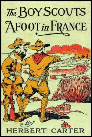 Book cover of The Boy Scouts Afoot in France