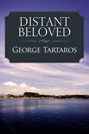 Book cover of Distant Beloved