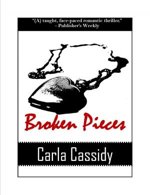 Cover of the book Broken Pieces by Dian Curtis Regan