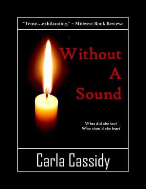 Cover of the book Without a Sound by Mary Lee Tiernan