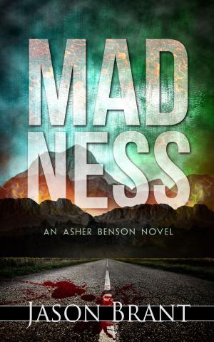 Cover of the book Madness (Asher Benson #2) by Jason Brant