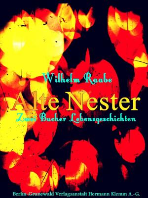 Book cover of Alte Nester
