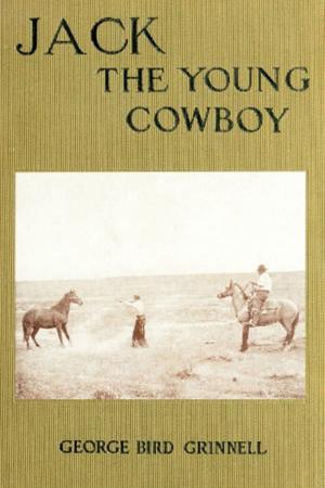 Book cover of Jack the Young Cowboy