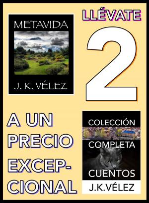 Cover of the book Llévate 2 a un Precio Excepcional by Berto Pedrosa