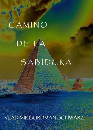 Cover of the book Camino de la Sabiduria by Oliver Frances