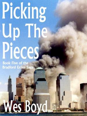 Cover of the book Picking Up the Pieces by Michael Allen