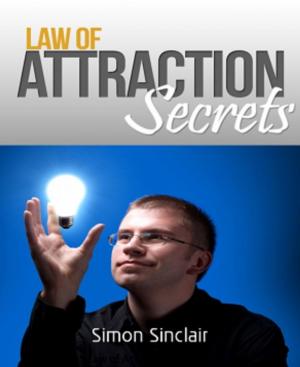 Cover of the book Law of Attraction Secrets by Joie Schmidt