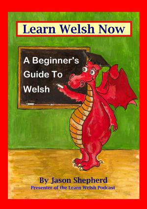 bigCover of the book Learn Welsh Now: A Beginner's Guide to Welsh by 