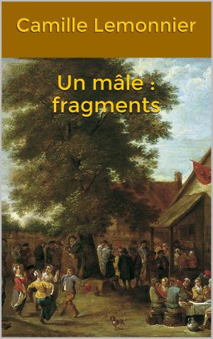 Cover of the book Un mâle : fragments by Jacques de La Tocnaye