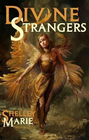 Cover of DIVINE STRANGERS by Shelley Marie, Epic Moon Ink