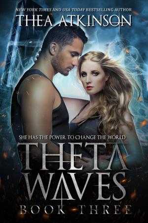 Book cover of Theta Waves Book 3