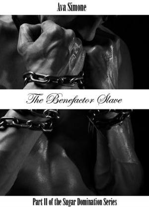 Book cover of The Benefactor Slave