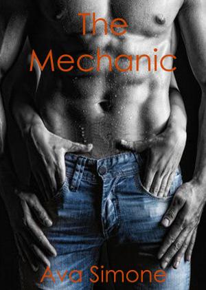 Cover of the book The Mechanic by Sheri Fredricks