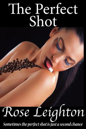 Cover of the book The Perfect Shot by Terry Brodbeck Ward