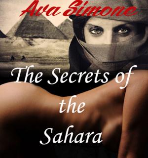 Cover of The Secret of the Sahara
