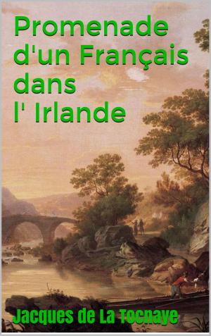 Cover of the book Promenade d' un Français dans l' Irlande by Cicéron, Ch. du Rozoir