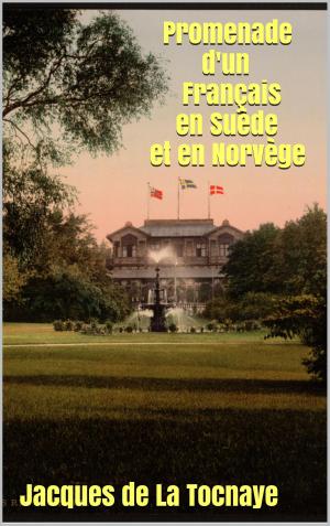 Cover of the book Promenade d' un Français en Suède et en Norvège by Petrus Borel