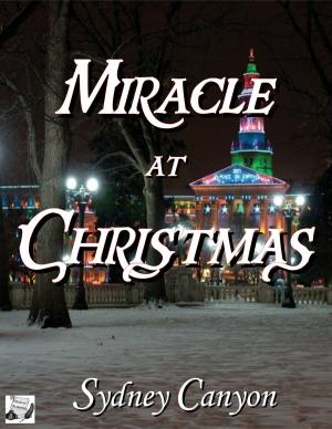 Cover of the book Miracle at Christmas by Sydney Canyon