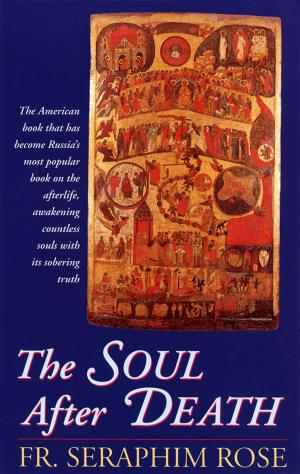 bigCover of the book The Soul After Death by 