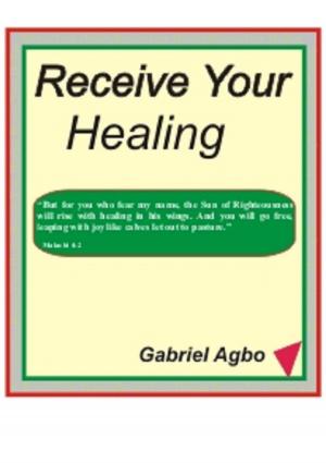 Cover of the book Receive Your Healing by Stephan Sigg, Niklas Schütte