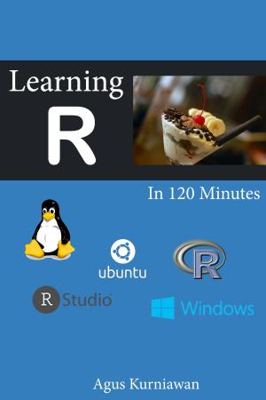 Book cover of Learning R in 120 Minutes