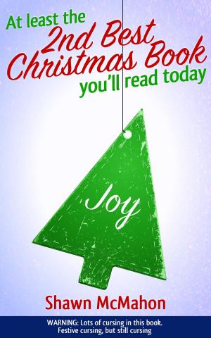 Cover of the book At Least the 2nd Best Christmas Book You'll Read Today by Christine Brand