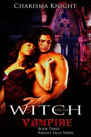 Book cover of Witch And The Vampire