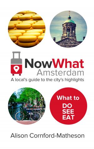 Cover of the book Now What Amsterdam by Daniel Ireland
