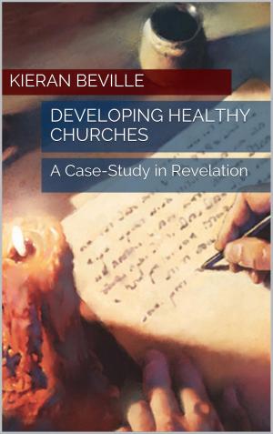 Book cover of DEVELOPING HEALTHY CHURCHES