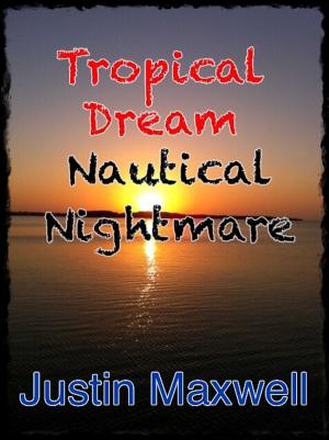 Cover of the book Tropical Dream Nautical Nightmare by F.M. Hexameer