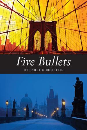 Book cover of FiveBullets