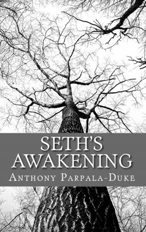 Cover of the book Seth's Awakening by Stephanie R. Lowell