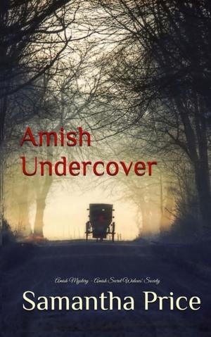 Cover of the book Amish Undercover by Horst Bieber