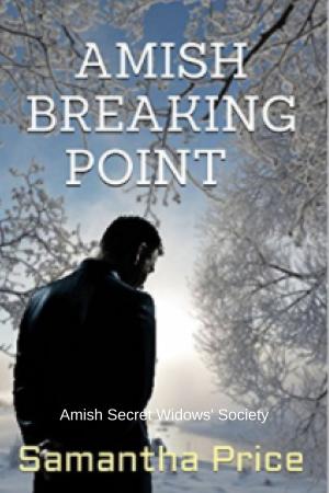 Cover of the book Amish Breaking Point by Laura Durham
