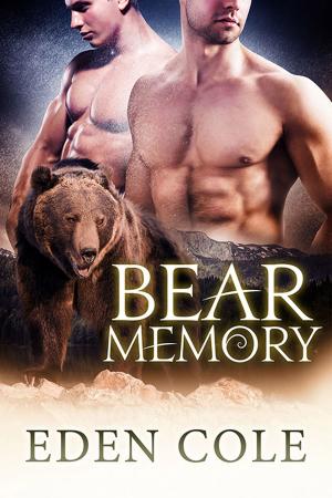 Book cover of Bear Memory