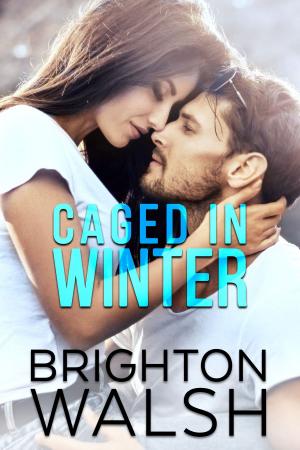 Cover of the book Caged in Winter by allyn lesley