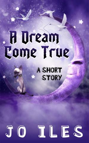 Cover of the book A Dream Come True by Jodi Rath