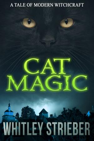 Cover of the book Cat Magic by Meg O'Brien