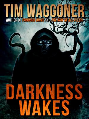 Book cover of Darkness Wakes
