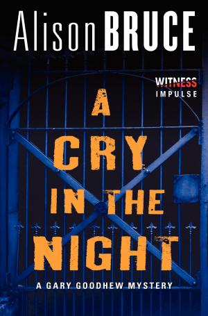 Cover of the book A Cry in the Night by Stephen Booth