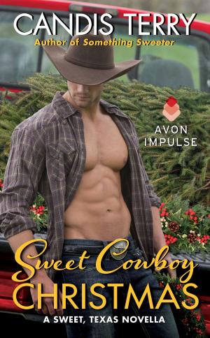 Cover of the book Sweet Cowboy Christmas by Lia Riley