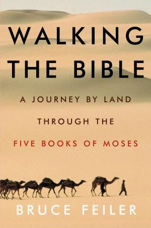 Cover of the book Walking the Bible by Faye Kellerman